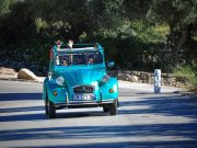 Fiat Sells Off Ferrari